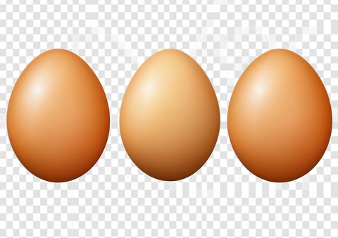 棕色鸡蛋透明背景