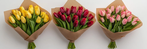 黄粉红三色郁金香花束