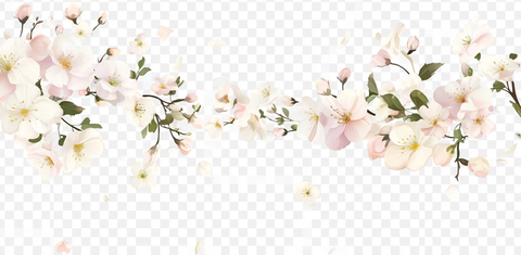 粉色白色小花边框