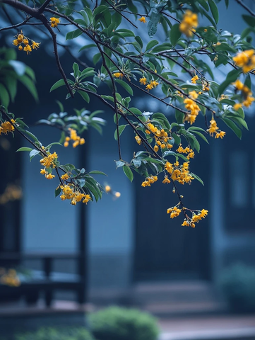 枝头开满黄色花朵的植物特写