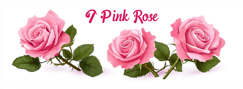 粉玫瑰剪贴画