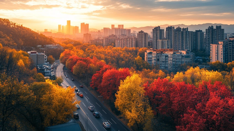 城市中多彩树林旁的道路景象