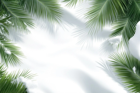 棕榈叶边框透明背景