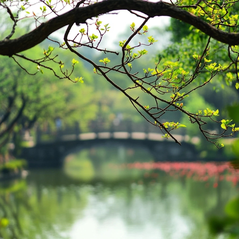 水边桥梁景观与春日嫩枝的自然景象