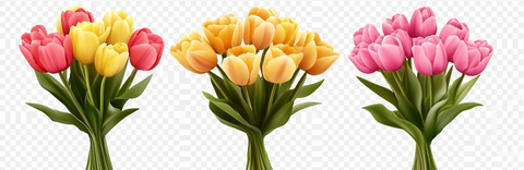 黄粉红三色郁金香花束