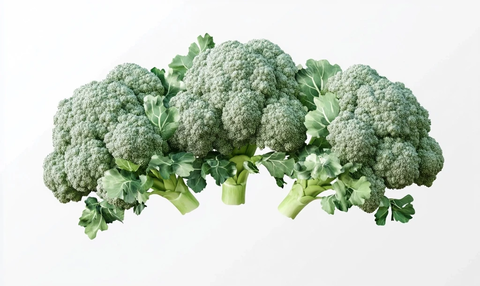 孤立花椰菜