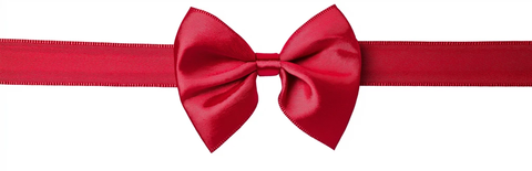 红丝带蝴蝶结