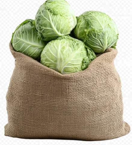 透明背景的卷心菜袋