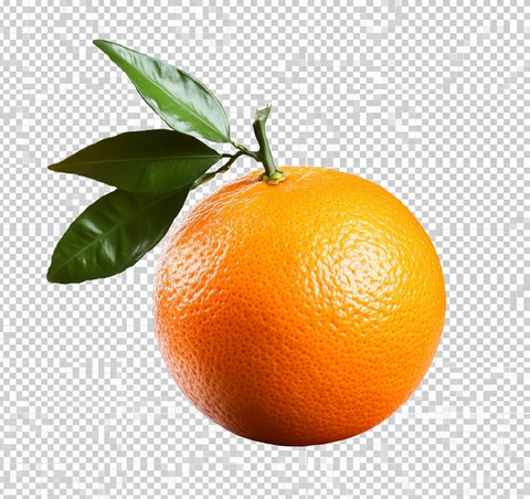 橙子绿叶透明背景