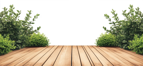 木质地板与绿植边缘
