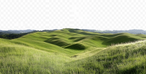 绿色草地山丘景观