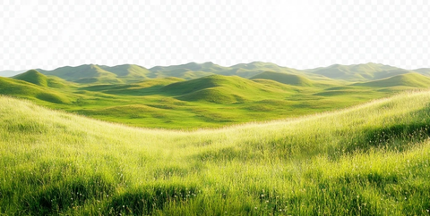 绿色草地与山丘