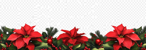 一品红和槲寄生花环