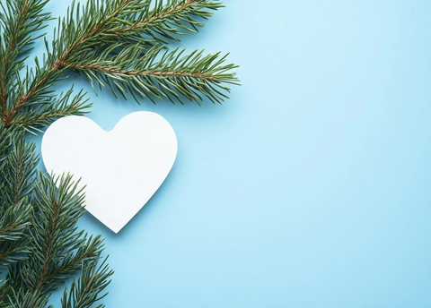 白心松枝蓝背景