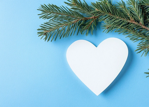 白心松枝蓝背景