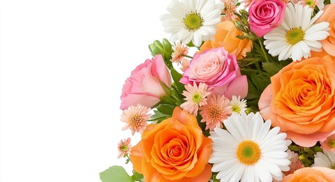 花卉背景，玫瑰、雏菊、银莲花、桃花、菊花