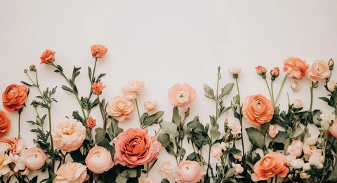 玫瑰与毛茛花边框