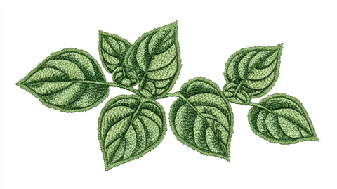 刺绣风格植物叶片