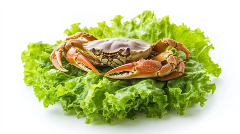新鲜螃蟹配绿生菜
