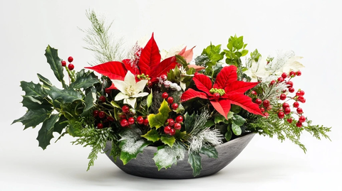 圣诞角落植物花卉