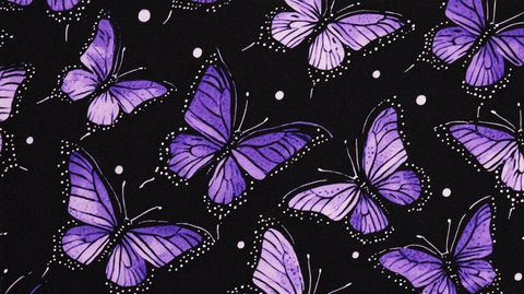 紫色蝴蝶黑背景小点