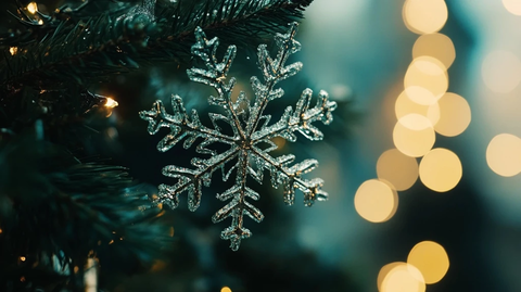 圣诞雪花松枝与文字