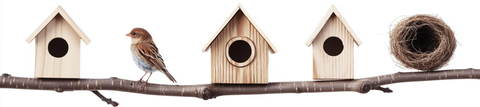 木制鸟屋与鸟巢