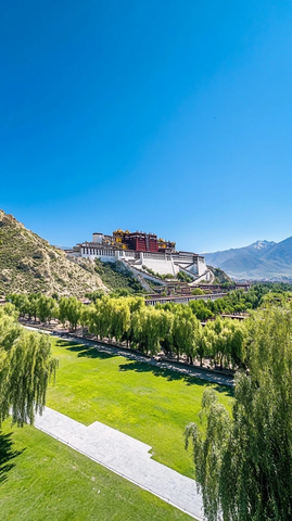 绿树环绕的布达拉宫