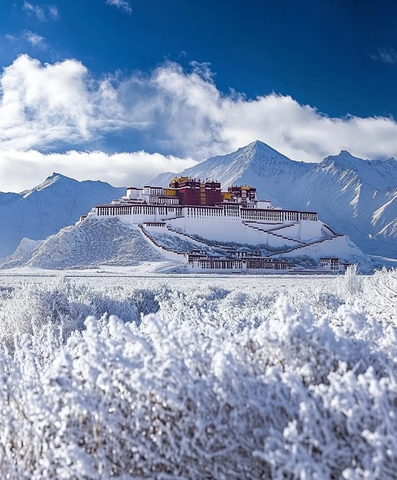 雪后布达拉宫