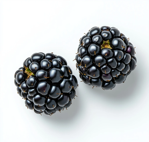 黑莓果实