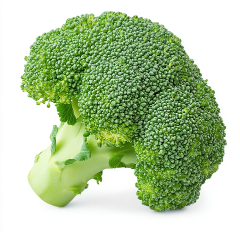 白底高分辨率西兰花