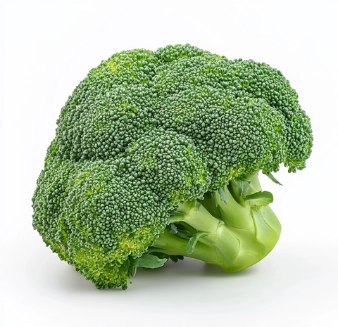 白底孤立西兰花