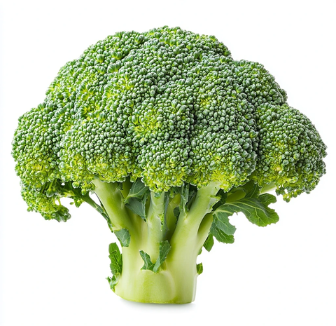 白底高分辨率西兰花