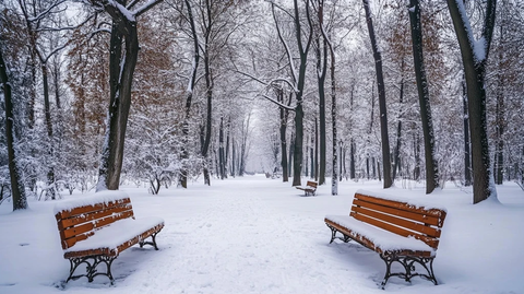 冬季城市公园雪景