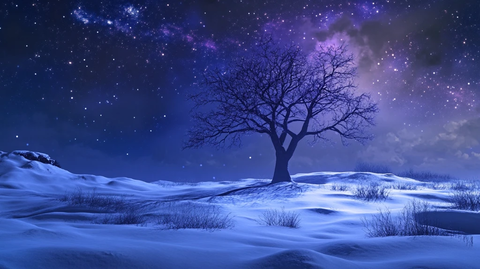 雪地孤树星空
