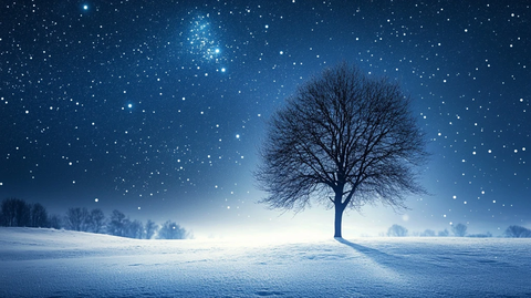 雪地孤树星空