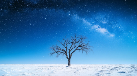 雪地孤树星空