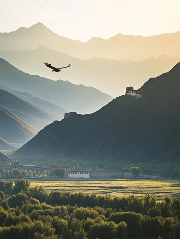 山间飞鸟与建筑