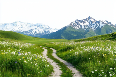 蜿蜒小径穿过草地