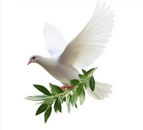 白鸽衔橄榄枝