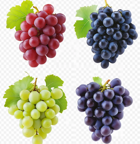 不同颜色葡萄