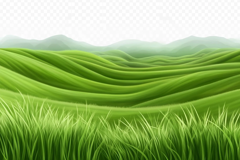 绿色稻田边缘草地