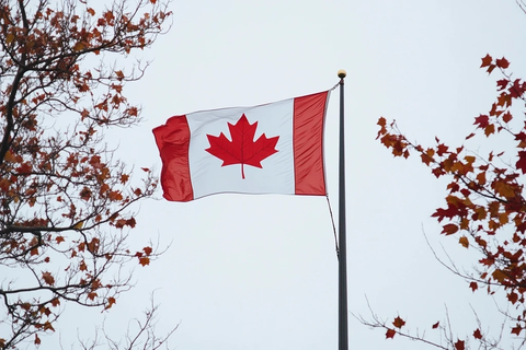 加拿大国旗白底红枫叶