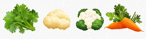 胡萝卜西兰花花椰菜香菜