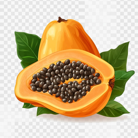 切半木瓜与种子