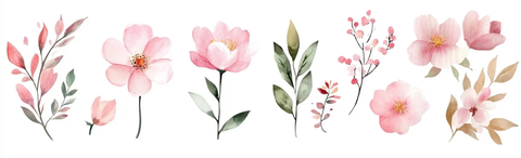 水彩粉色花卉元素