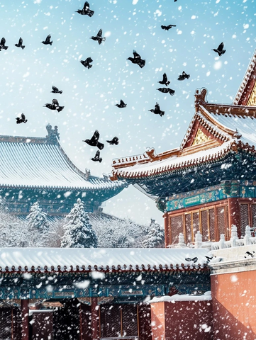 雪中故宫飞鸟
