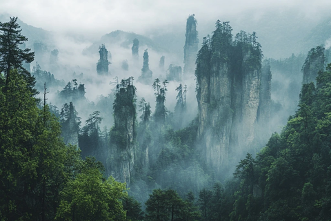 砂岩柱林间景观