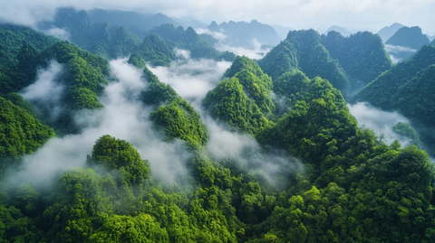 西部森林高空俯瞰
