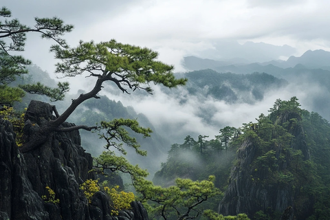 溪流穿过石头山谷